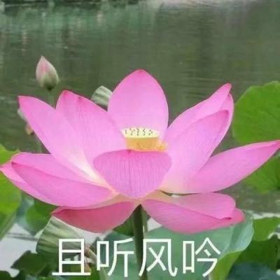看图找不同游戏手机版下载